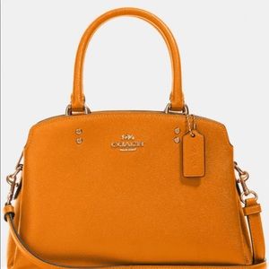 Coach Mini Lillie Carryall, new with tag